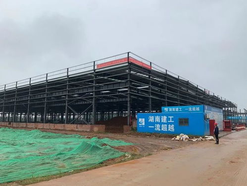 益陽總投資8.229億元大項目預(yù)計12月建成投產(chǎn)，房屋建筑工程施工穩(wěn)步推進(jìn)