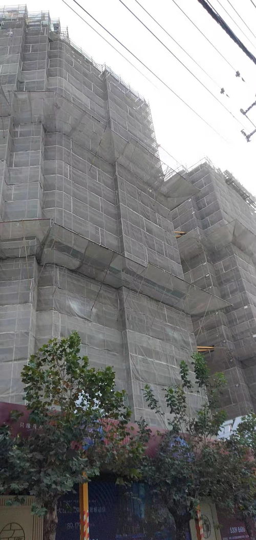 建筑建材企業(yè)商情 洞察市場(chǎng)脈搏，把握發(fā)展機(jī)遇